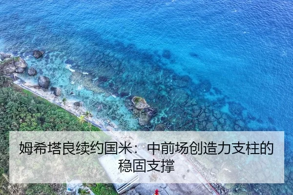 姆希塔良续约国米：中前场创造力支柱的稳固支撑